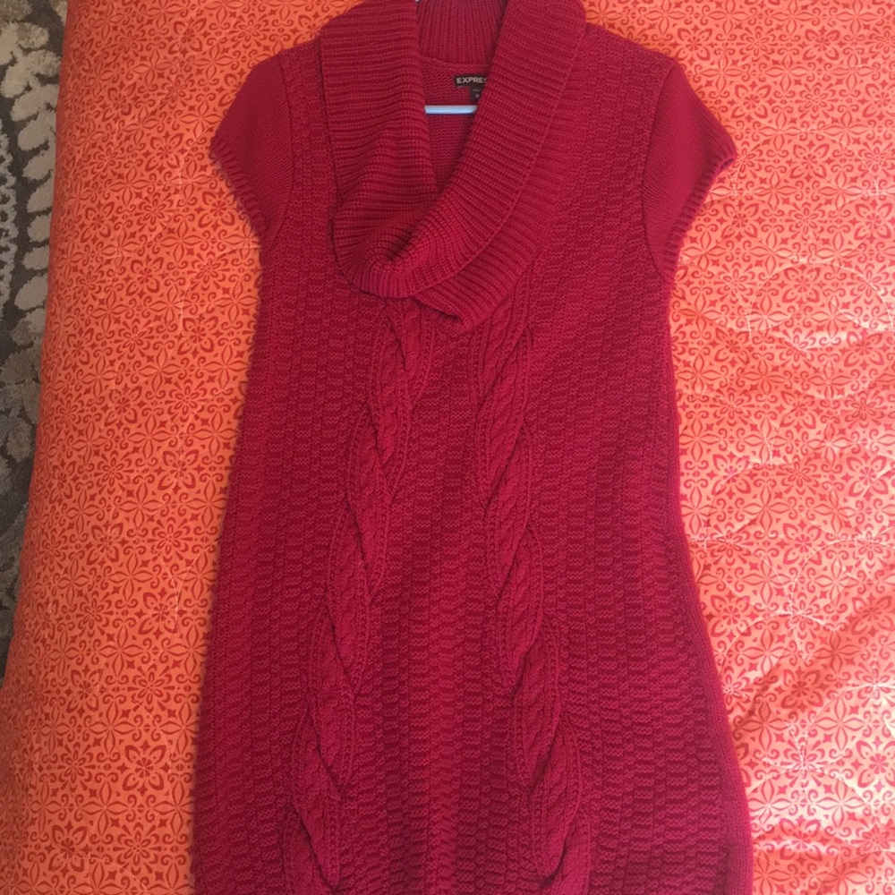 Express sweater dress